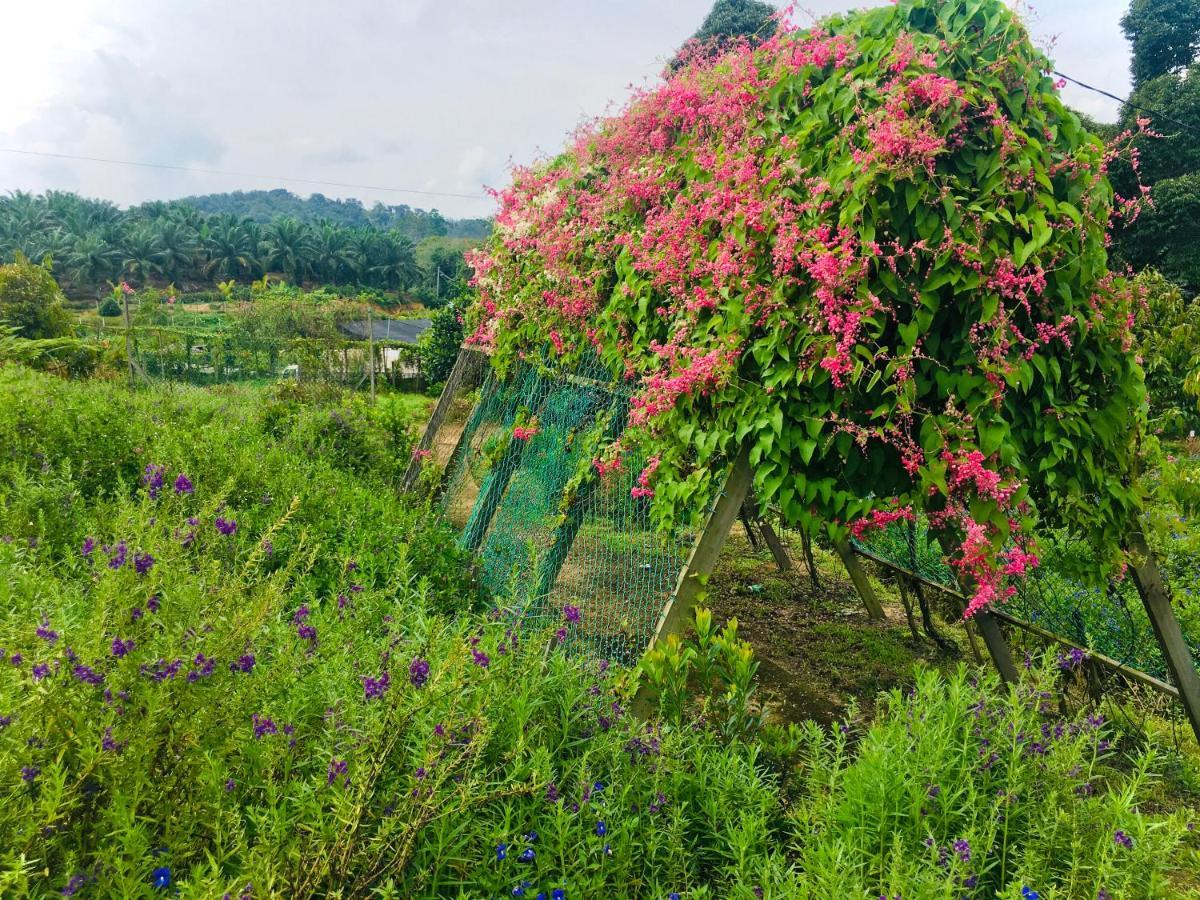 Durian Ecolodge Tampin Buitenkant foto