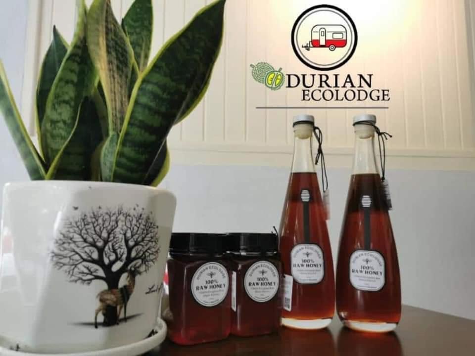 Durian Ecolodge Tampin Buitenkant foto